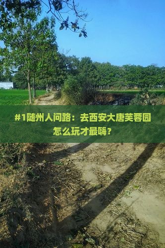 #1随州人问路：去西安大唐芙蓉园怎么玩才最嗨？