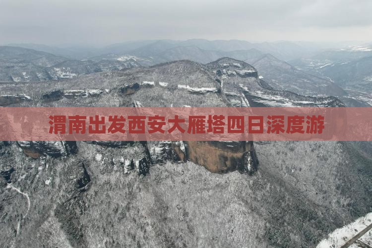 渭南出发西安大雁塔四日深度游