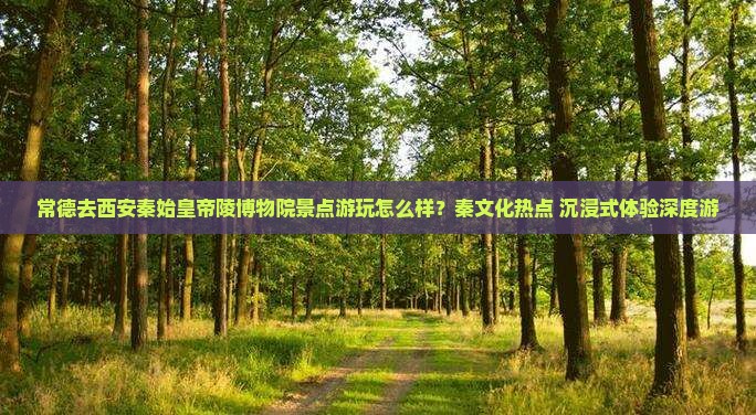 常德去西安秦始皇帝陵博物院景点游玩怎么样？秦文化热点+沉浸式体验深度游