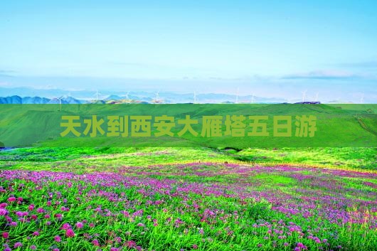 天水到西安大雁塔五日游