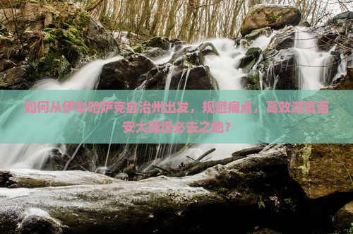 如何从伊犁哈萨克自治州出发，规避痛点，高效游览西安大雁塔必去之地？