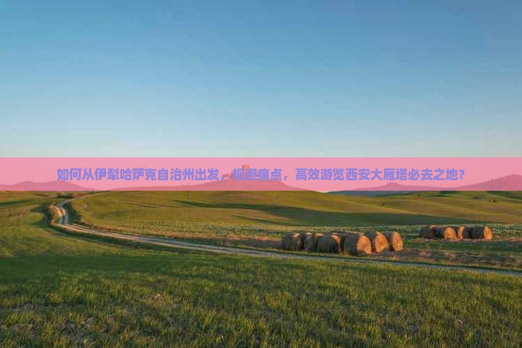 如何从伊犁哈萨克自治州出发，规避痛点，高效游览西安大雁塔必去之地？
