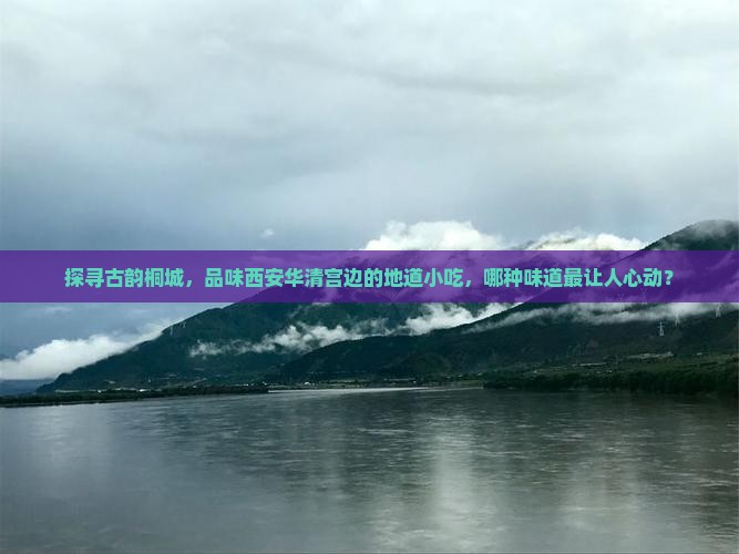 探寻古韵桐城，品味西安华清宫边的地道小吃，哪种味道最让人心动？