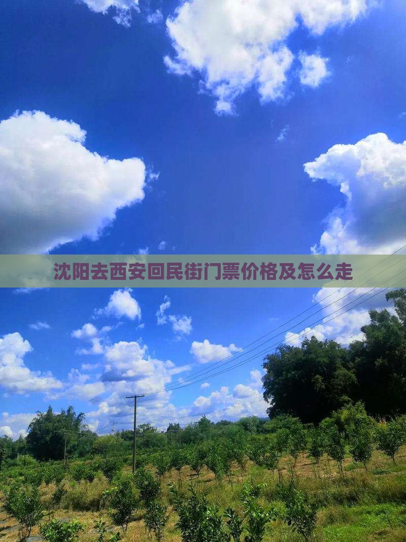 沈阳去西安回民街门票价格及怎么走