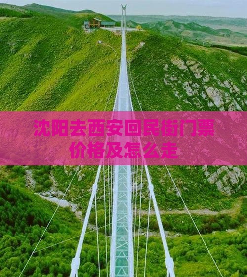 沈阳去西安回民街门票价格及怎么走
