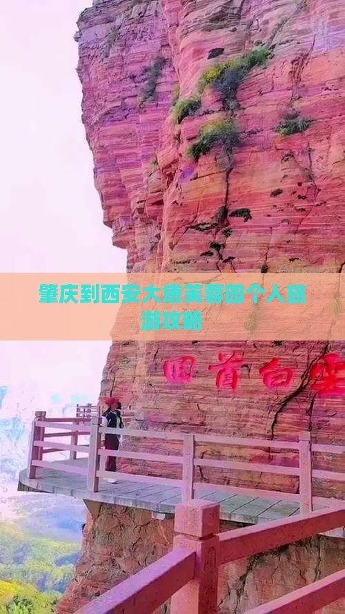 肇庆到西安大唐芙蓉园个人旅游攻略