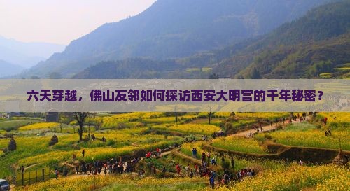 六天穿越，佛山友邻如何探访西安大明宫的千年秘密？