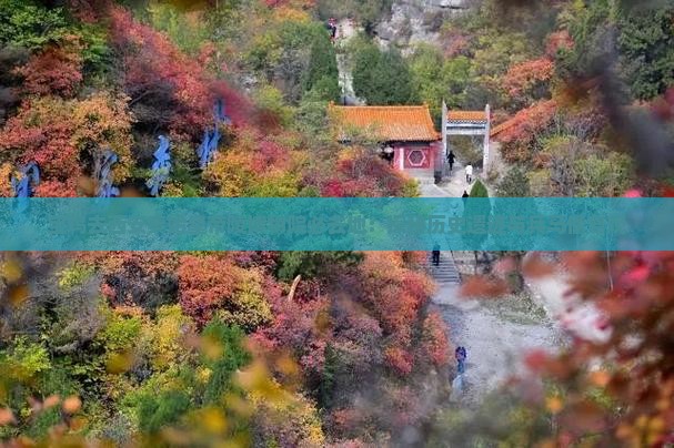 宝鸡去西安秦始皇帝陵博物院必去地：探秘历史遗迹与兵马俑奇观