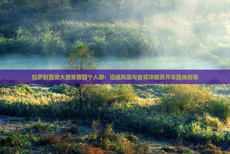 拉萨到西安大唐芙蓉园个人游：沿途风景与自驾攻略及开车路线指南