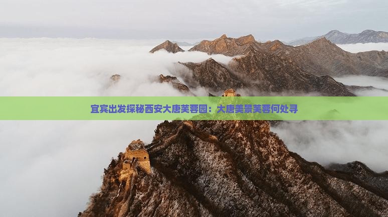 宜宾出发探秘西安大唐芙蓉园：大唐美景芙蓉何处寻