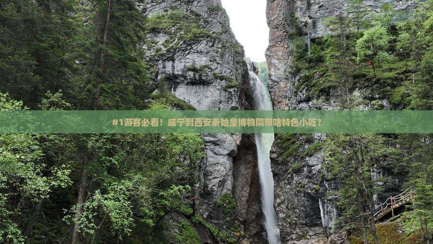 #1游客必看！咸宁到西安秦始皇博物院带啥特色小吃？