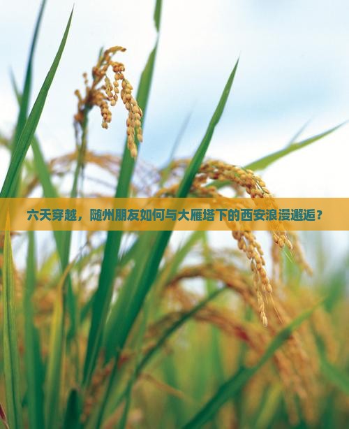 六天穿越，随州朋友如何与大雁塔下的西安浪漫邂逅？