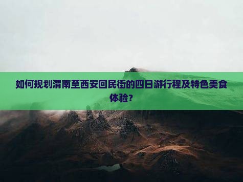 如何规划渭南至西安回民街的四日游行程及特色美食体验？