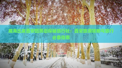 威海出发西安回民街探秘旅行社：西安旅游攻略与旅行必备指南