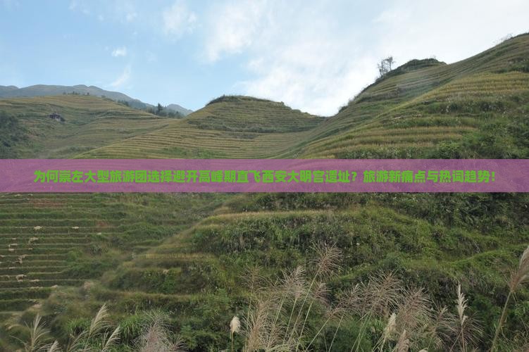 为何崇左大型旅游团选择避开高峰期直飞西安大明宫遗址？旅游新痛点与热词趋势！