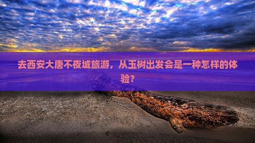 去西安大唐不夜城旅游，从玉树出发会是一种怎样的体验？