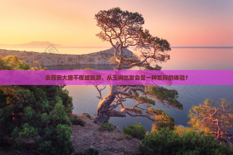 去西安大唐不夜城旅游，从玉树出发会是一种怎样的体验？
