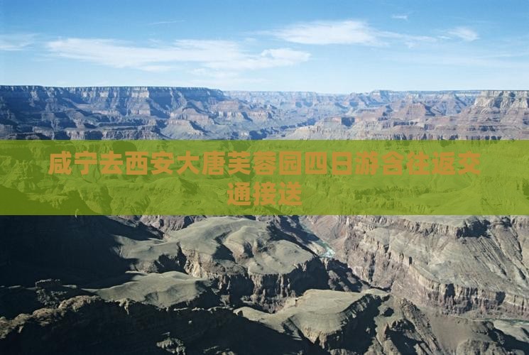 咸宁去西安大唐芙蓉园四日游含往返交通接送