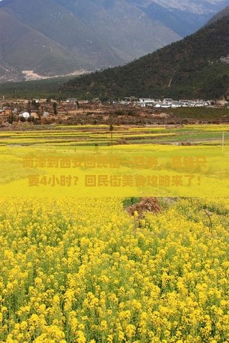 菏泽到西安回民街一日游，高铁只要4小时？回民街美食攻略来了！