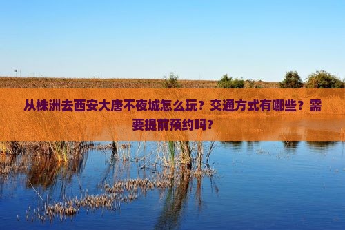 从株洲去西安大唐不夜城怎么玩？交通方式有哪些？需要提前预约吗？