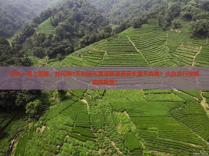 作为一名上班族，如何用7天时间从鹰潭畅游西安大唐不夜城？小白旅行攻略疑问解答！