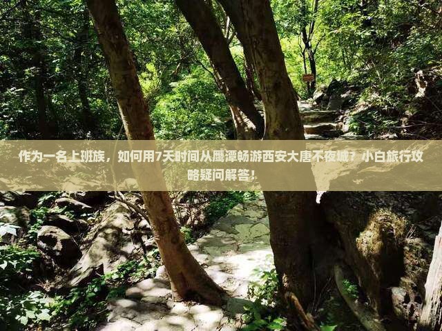 作为一名上班族，如何用7天时间从鹰潭畅游西安大唐不夜城？小白旅行攻略疑问解答！