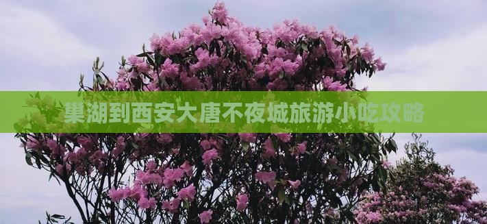 巢湖到西安大唐不夜城旅游小吃攻略