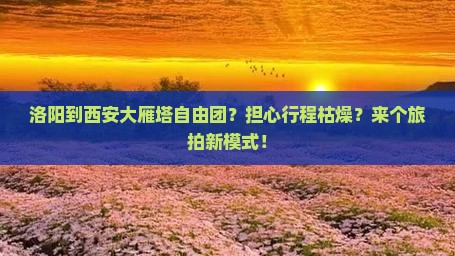 洛阳到西安大雁塔自由团？担心行程枯燥？来个旅拍新模式！