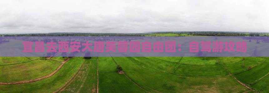 宜昌去西安大唐芙蓉园自由团：自驾游攻略