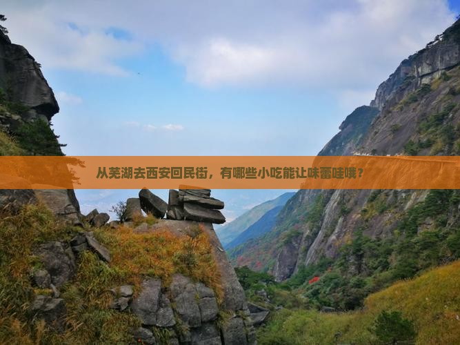 从芜湖去西安回民街，有哪些小吃能让味蕾哇哦？