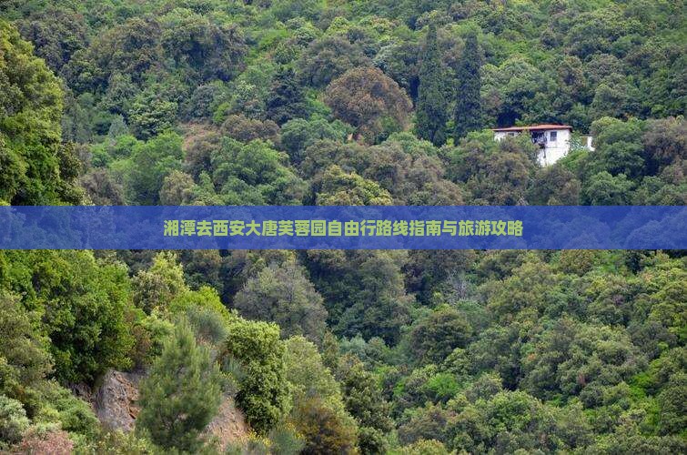 湘潭去西安大唐芙蓉园自由行路线指南与旅游攻略