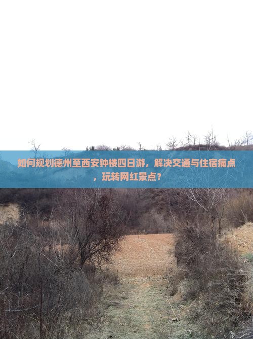 如何规划德州至西安钟楼四日游，解决交通与住宿痛点，玩转网红景点？