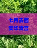 七月去西安华清宫团体旅游攻略：游玩时间及一日游建议
