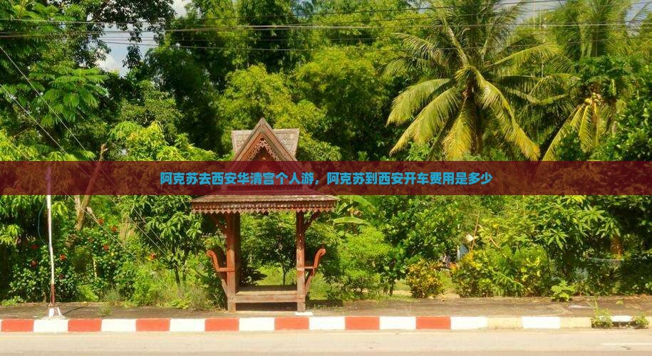 阿克苏去西安华清宫个人游，阿克苏到西安开车费用是多少