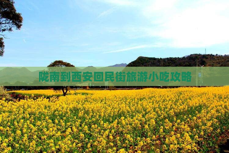 陇南到西安回民街旅游小吃攻略