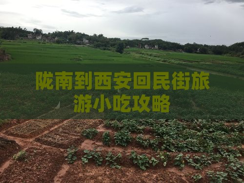 陇南到西安回民街旅游小吃攻略