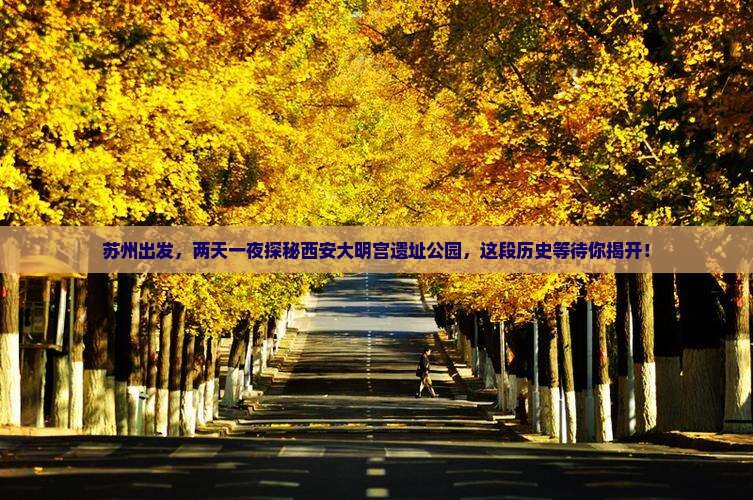 苏州出发，两天一夜探秘西安大明宫遗址公园，这段历史等待你揭开！