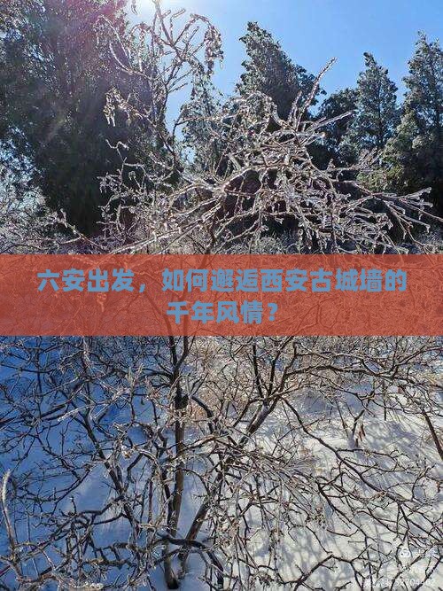 六安出发，如何邂逅西安古城墙的千年风情？