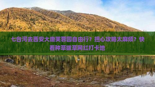 七台河去西安大唐芙蓉园自由行？担心攻略太麻烦？快看种草拔草网红打卡地