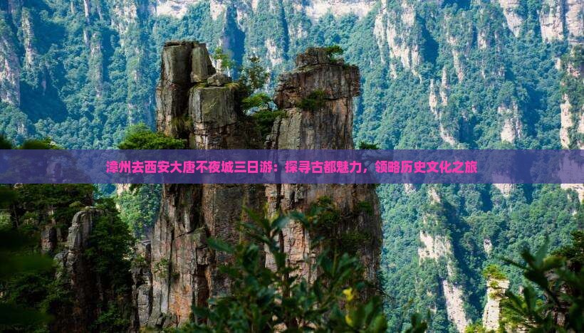 漳州去西安大唐不夜城三日游：探寻古都魅力，领略历史文化之旅