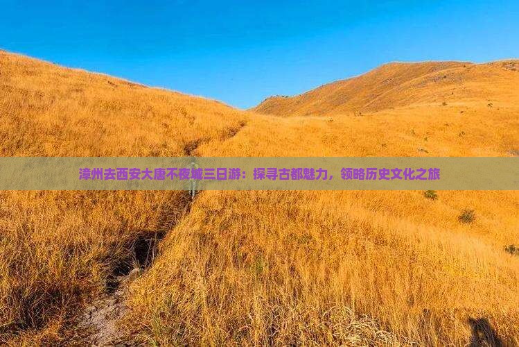 漳州去西安大唐不夜城三日游：探寻古都魅力，领略历史文化之旅