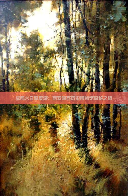 成都六日深度游：西安陕西历史博物馆探秘之旅