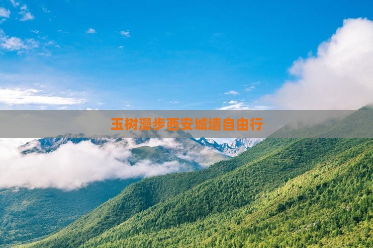 玉树漫步西安城墙自由行