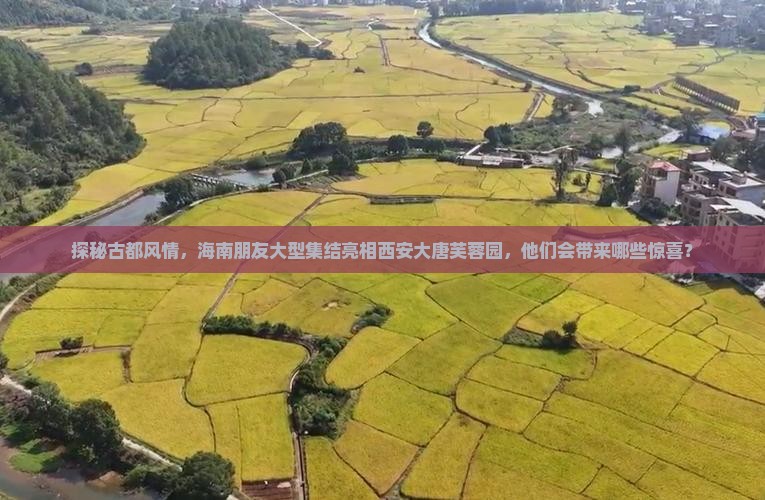 探秘古都风情，海南朋友大型集结亮相西安大唐芙蓉园，他们会带来哪些惊喜？
