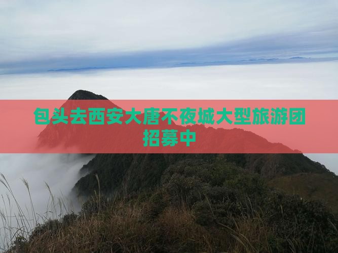 包头去西安大唐不夜城大型旅游团招募中