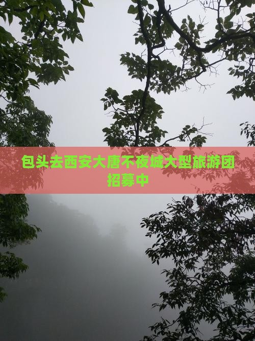 包头去西安大唐不夜城大型旅游团招募中