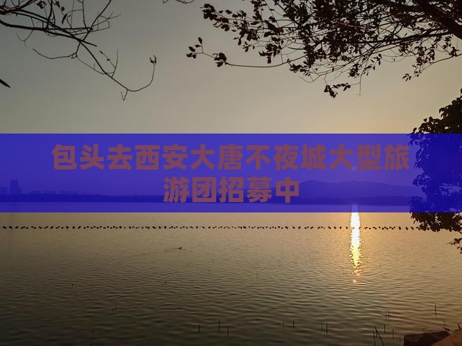 包头去西安大唐不夜城大型旅游团招募中
