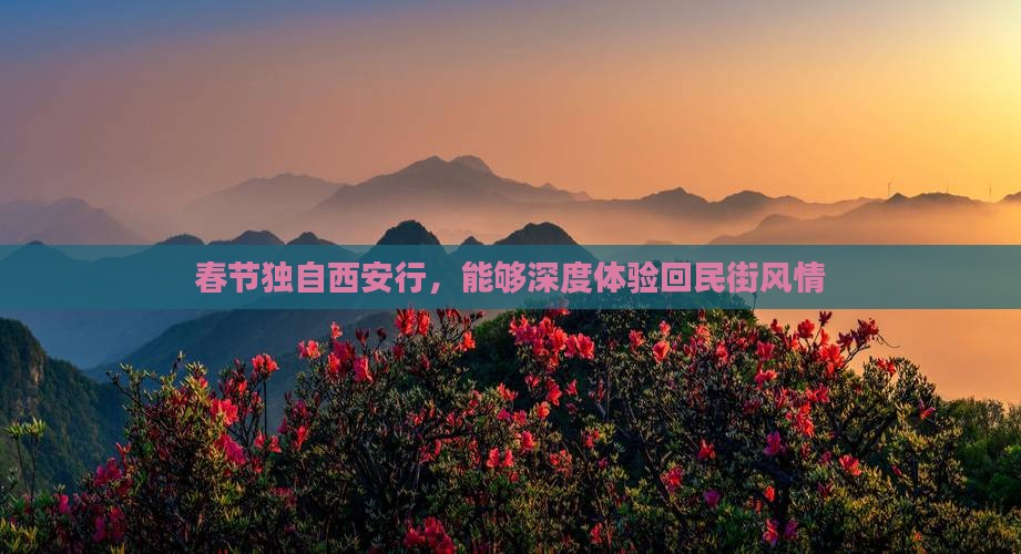 春节独自西安行，能够深度体验回民街风情