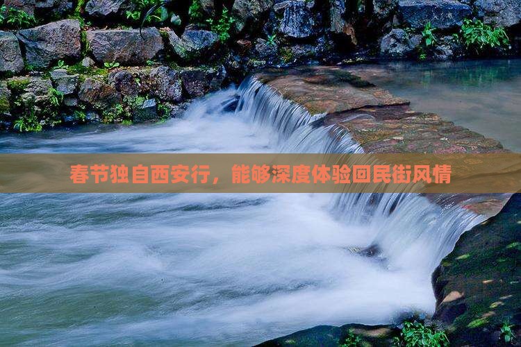 春节独自西安行，能够深度体验回民街风情