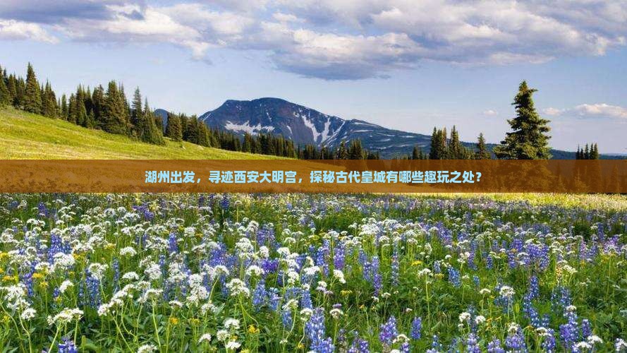 湖州出发，寻迹西安大明宫，探秘古代皇城有哪些趣玩之处？